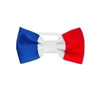 Noeud papillon tricolore France