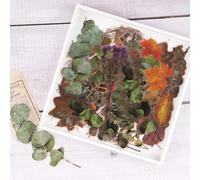 NogaMoga 80 Pièces Scrapbooking Stickers, Autocollants de Plantes Séchées de Grande Taille, Eucalyptus Gypsophila Transparents Autocollants Décoratifs pour L'artisanat de Bricolage, Cartes, Laptop