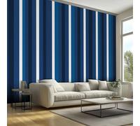 NOGAWA Papier Peint Motif Rayée, 3D Panoramique Papier Peint Bleu Blanc, Papier Mural Decoratif Pour Salon, Chambre, Tapisserie Murales, Décoration Murale 100x70cm