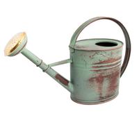 Arrosoir Vert de 4L + Pomme d'arrosage en Laiton