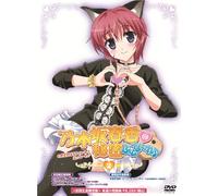 Nogizaka Haruka No Himitsu Fin [Import allemand]