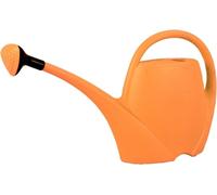 Nohel Garden Container SPRING avec rose en plastique Couleur : orange, Volume : 2,5 l