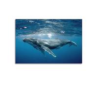 NOHF Poster animal marin à bosse baleine nageant sous l'eau - Art mural rétro esthétique - Décoration de chambre - Peinture sur toile pour la maison et le bureau - 30 x 45 cm - Sans cadre