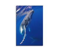 NOHF Poster d'animaux marins avec baleine à bosse - Décoration murale rétro esthétique pour décoration de chambre - Pour décoration de maison et de bureau - 30 x 45 cm - Sans cadre