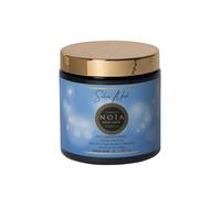 NOÏA HAIR - Masque Capillaire Professionnel SILVER - Anti-Jaunissement & Hydratation - Neutralisation des Reflets - Cheveux Blonds, Décolorés, Gris ou Blancs - 500 ml