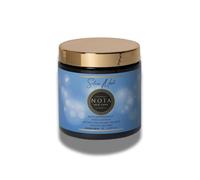 NOÏA HAIR - Masque Silver 500ml - Anti-Jaunissement & Reflets Froids - Pigments Violets - Hydratation & Douceur - Soin Professionnel Cheveux Blonds, Gris & Méchés