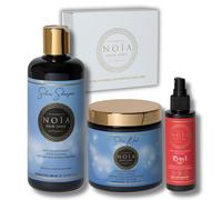 NOÏA HAIR - Routine Capillaire TRIO Silver - Shampoing, Masque & Sérum - Anti-Jaunissement, Éclat Froid & Brillance - Soin Professionnel Cheveux Blonds, Gris & Méchés