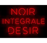 Noir Désir Intégrale [18CD+DVD - Intégrale format Livre d'art]