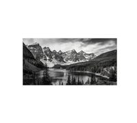 Noir et Blanc Tableau Paysage Montagne Arbre 5. Toile 40x80cm Encadrée