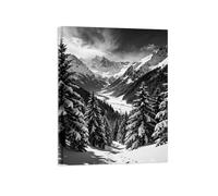 Noir et Blanc Tableau Paysage Montagne Arbre 6. Toile 40x50cm Sans Cadre