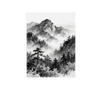 Noir et Blanc Tableau Paysage Montagne Arbre. Toile 30x40cm Encadrée