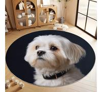Noir Tapis Salon Rond Animal Shih Tzu Intérieur Doux en Flanelle Tapis de Chambre Rond, Poil Court Moderne Lavable Antidérapant Moquette Ronds - pour Salon Chambre Enfant & Salle À Manger 120 cm