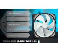 Noiseblocker PC Gamer Fan 120 mm PWM NB-eLoop PC Fan B12-PS,PC Case Fan with Extreme Silent Wings and Maximum Volume 28.5 dB (A)