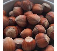 Noisetier Catalan 2L - Fertile et très facile à cultiver