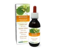 Noisetier commun (Corylus avellana) Gemmo-dérivé sans alcool à base de bourgeons frais Naturalma - Extrait liquide gouttes 120 ml - Complément alimentaire - Végétalien ou végan