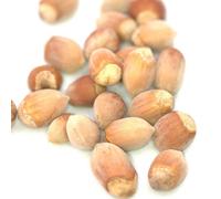 Noisetier longue d'espagne - pot de 5l