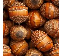 Noisettes Pommes De Pin Papier Peint Épaissir Mat Auto Adhésif 44x200 cm Graines Et Plantes Bodhi Meubles Autocollants Amovible Comptoir Contact Papier Stickers Muraux pour Bains Salon Chambre