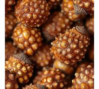 Noisettes Pommes De Pin Papier Peint Épaissir Mat Auto Adhésif 44x300 cm Graines Et Plantes Bodhi Meubles Autocollants Amovible Comptoir Contact Papier Stickers Muraux pour Bains Salon Chambre