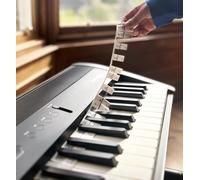 Noisy Clan Bandes de notes amovibles en silicone pour piano et clavier - Convient aux claviers complets à 88 touches - Outil d'apprentissage de la musique pour la rentrée scolaire