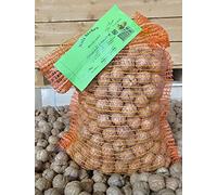 Noix du Dauphiné LARA 5kg (calibre +34) 100% Française