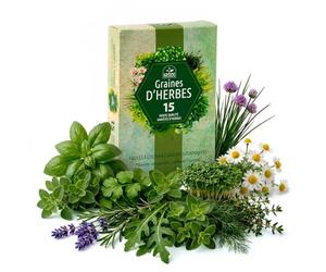 Nojaus Seklos - Lot de 15 graines d'herbes aromatiques de qualité supérieure, pour une utilisation en intérieur et en extérieur