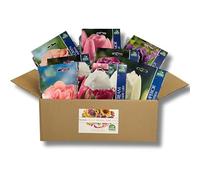 Nojus - 8 variétés de tulipes vivaces et résistantes au froid “Aquarelle de printemps” - 34 tulipes à floraison précoce - Mélange aux tons pastel