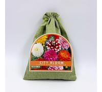 Nojus City Bloom Summer Dahlia Delight 5 - Mélange de tubercules de dahlias (5 pcs), fleurs d’été colorées pour jardin, balcon et terrasse, fleurs coupées décoratives, jardinage urbain, sac en jute