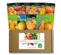 Nojus - Collection de graines de citrouille 10 variétés: citrouilles géantes, muscatées et ornementales - Géante de l'Atlantique, Muscat de Provence, Uchiki Kuri - Cultivez votre propre citrouille