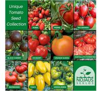 Nojus Lot De Graines De Tomates-10 Variétés-Kit De Démarrage De Graines De Tomates Diverses-10 Paquets-Graines De Jardin Plantes-Graines Boîte De Légumes-Graines