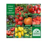 Nojus Lot de graines de tomates - 10 variétés - Kit de démarrage de graines de tomates diverses - 10 paquets - Graines de jardin Plantes - Graines Boîte de légumes - Graines