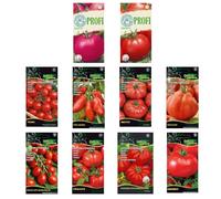 Nojus - Lot de graines de tomates - 20 variétés - Kit de démarrage de graines de tomates diverses - 20 paquets - Graines de jardin Plantes - Graines Boîte de légumes - Boîte de graines