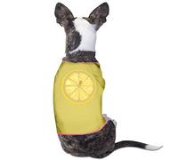 Nokie Edwards - Christmas in Guitarland