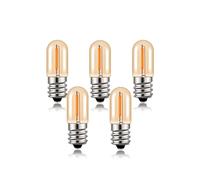 NOKXDKJWT Éclairage, Paquet de 5/10/15, Ampoule à Filament LED AC220V E12/E14 T16 0,6 W Mini Edison Lampe de Nuit Ampoules de Lustre tubulaires pour réfrigérateur (E14 10 pièces)