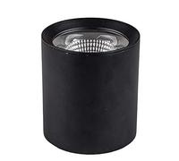 NOKXDKJWT Spot encastrable au Plafond intérieur LED Downlight monté en Surface COB éclairage Simple Spot plafonnier pour Couloir Couloir galerie Affichage Cuisine Salon intégré