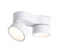 NOKXDKJWT Spots LED encastrés muraux Noirs et Blancs Daring Lights Bean Vésicule biliaire Lumières Fond Mur Allée Grille Lampe Plafond Nordique Double Tête Astigmatisme Downlight 3000K4000K6000K Inte
