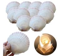 NOLACE Lot de 10 Coquilles Saint-Jacques Naturelles (7-12 cm) - Grandes Coquilles Vides & Nettoyées - Idéal pour Décoration Mariage, Salle de Bain & Bricolage (Usage Décoratif)