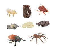 NOLITOY 2 Ensembles Modèles Éducatifs Scientifiques Cycle de Vie Insectes Plastique Léger Éducatif pour Garçon Fille