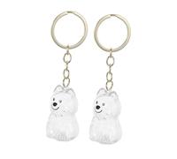 NOLITOY 2 Pièces Boîte Mémoire Transparente pour Poils Animaux Porte-clés Commémoratif Chien et Chat Rangement Sécurisé pour Souvenir Pelage Pet Hair Keepsake