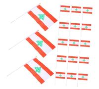 NOLITOY 20 pièces Drapeaux Liban Miniatures à Main Polyester Portable pour Fêtes et Événements Nationaux