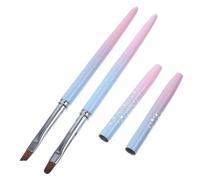 NOLITOY 2pièces Pinceaux à Art Délicat Pour Manucure Outils De Nail Art Avec Pinceau Liner Et Dégradé De