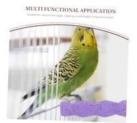 NOLITOY 4 Pièces Perchoirs pour Oiseaux Antidérapants pour Griffes Supports de Mâchage Sécurisés Matériaux Non Toxiques pour Perruches Calopsittes Conures et Petits Oiseaux