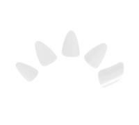 NOLITOY 5pièces Lute Nails Nylon Pour Guzheng Et Luth Professionnelle Pour Musiciens Confort Optimal Et Utilisation