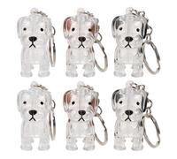 NOLITOY 6 pièces Boîte de Rangement Poils Animaux Transparente Porte-clés Souvenir Chien Forme Capsule Boîte Commémorative Portable pour Collection Poils Chien Décoration Pratique et