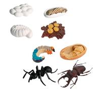 NOLITOY 8 pièces Modèles de Croissance Insectes Réalistes Jeu Éducatif Représentations d'Insectes Apprentissage Cycle Vie Garçon Fille
