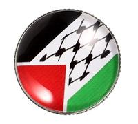 NOLITOY Broche Palestine Accessoire Polyvalent et Design Unique Épingle à Drapeau en Alliage de Zinc pour Paquet à Dos ou Vêtement Décoratif