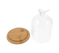NOLITOY Cloche Verre pour Fleurs Et Figurines Vitrine Décorative Verre avec Base Idéale pour Paysages Et Arrangements Floraux Design Oiseau Élégant