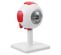 NOLITOY Modèle Anatomique D'œil Blanc en Pvc Grossissement 3x Léger Montrant la Structure Anatomique pour Enseignement et Recherche Médicale