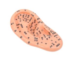 NOLITOY Modèle D'acupuncture Auriculaire en Pvc Solide Écriture Claire, Outil de Massage Pratique pour Formation et Enseignement en Auriculothérapie