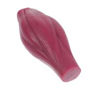 NOLITOY Modèle Musculaire Artificiel Lb avec Socle Réplique Anatomique Réaliste Du Muscle pour Enseignement et de Fitness