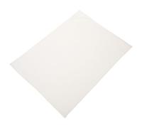 NOLITOY Outil de Fabrication de Fleurs Pressées Séchées en Polyester Blanc, Surface Lisse sans Bavure, 12 Pièces pour Création Artisanale et Pressage Botanique